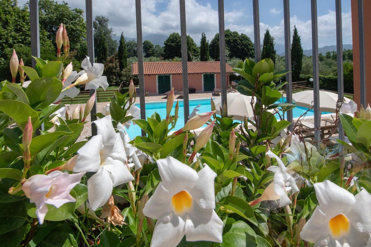 بيتراسانتا Relais Villa Isabel المظهر الخارجي الصورة